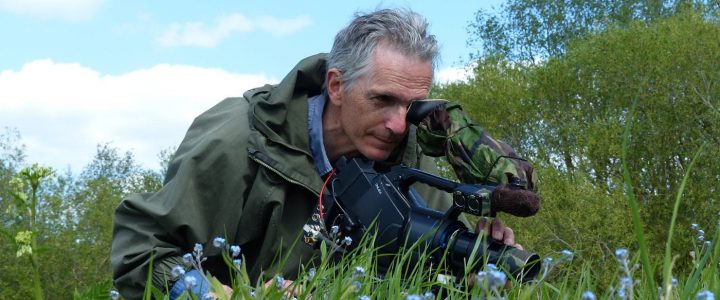 Magic in the Meadow – Field Notes During the Making of a Wildlife Documentary